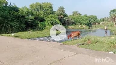 नीमच नगर: नगरपालिका की बड़ी अनदेखी,पुलिया पर रैलिंग नहीं लगाई,आम जनता में बारिश के बीच बना हुआ है हादसे का भय