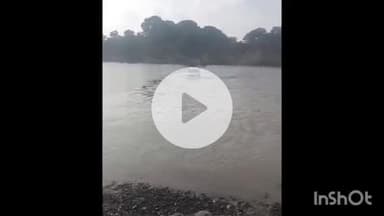 ताल: असावती चंबल नदी मार्ग पर जान जोखिम में डालकर पुलिया पार करते लोग, वीडियो वायरल