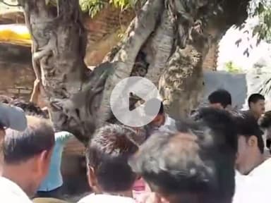 धनौरा: मंडी धनौरा में चकबंदी के लिए आए किसान की मौत, ब्रेकर पर झटका लगने से बाइक से गिरे, अस्पताल पहुंचने से पहले दम तोड़ा