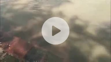 फतेहाबाद: फतेहाबाद क्षेत्र में यमुना का जलस्तर एक बार फिर बढ़ा, पारोली सिकरवार में खेतों में भरा पानी, प्रशासन अलर्ट