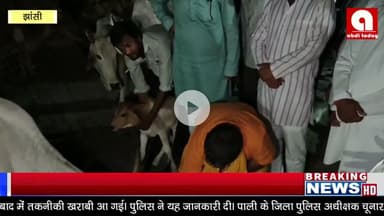 गोसेवा आयोग के अध्यक्ष ने किया गोशाला का निरीक्षण