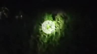 हज़ारीबाग: हजारीबाग के गोधिया गांव में हाथी ने रौंदी किसानों की मेहनत, खदेड़ने पर भी लौट आता है