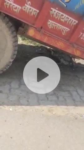 सुल्तानपुर: कूरेभार में सांप और नेवले की हुई लड़ाई, वीडियो हुआ वायरल