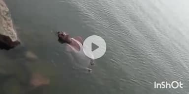 गंधवानी: काबरवा का 35 वर्षीय व्यक्ति ससुराल जाने के लिए निकला, बरखेड़ा डेम में मिला शव, डूबने से हुई मौत