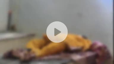 बेगूसराय: बीएनपी 8 में महिला ने फांसी लगाकर की आत्महत्या, पुलिस जांच में जुटी, परिजनों में हड़कंप