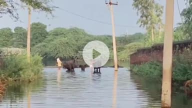 नूह: गांव टाई में बारिश का पानी भरने से लोग परेशान, सरपंच प्रतिनिधि मास्टर जमील ने दी प्रतिक्रिया