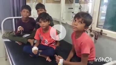 गुना: मारकी महू प्राथमिक विद्यालय के 11 बच्चों ने खाया जहरीला फल, बिगड़ी तबीयत, हालत में सुधार