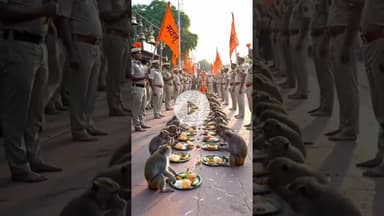 श्रीकृष्ण जन्माष्टमी पर वाराणसी के घाट का नजारा viral video