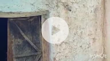 ब्यौहारी: पपौंध के एक गांव में मवेशी के साथ दुराचार कर भागा आरोपी, पुलिस कर रही है जांच