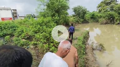 बीना: देहरी रोड मोतीचूर घाट पर दिखा मगरमच्छ, समिति सदस्यों ने घाट से दूर रहने की अपील की