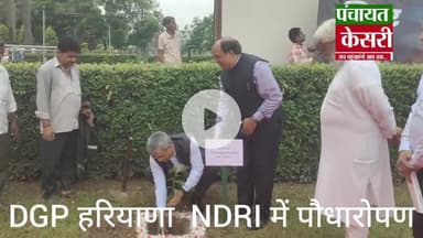 करनाल NDRI में DGP शत्रुजीत कपूर ने किया पौधरोपण , प्रकृति महोत्सव का आयोजन