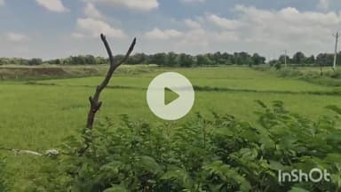 बलरामपुर: महादेव मिश्र में एक व्यक्ति ने दूसरे की जमीन का कराया बैनामा, शिकायत के बाद भी कार्रवाई नहीं होने से पीड़ित परेशान