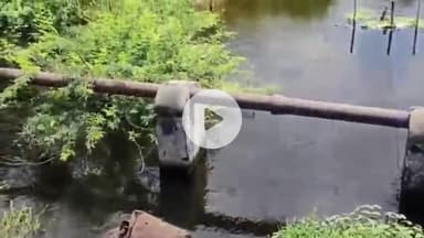 नूह: नूंह: पलवल रोड के पास नाले में अज्ञात व्यक्ति के शव की खबर झूठी, बोरी में मिला सुअर का शव