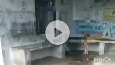 ताल: गांव डाबरी के यात्री प्रतीक्षालय में मिले युवक और नाबालिग लड़की के शव, घटनास्थल पर कीटनाशक दवा बरामद