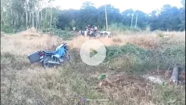 धनौरा: दबंगों ने किसान के भरे पेड़ काट दिए, पीड़ित किसान ने बछरायूं पुलिस को दी सूचना