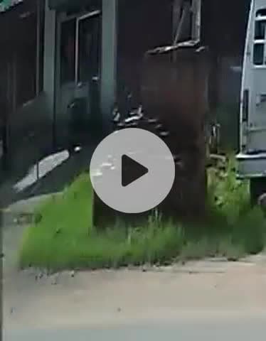 नारासन: जैनपुर झंझेडी में नकाबपोश दबंगों ने क्लीनिक में घुसकर संचालक पर लाठी-डंडों से किया हमला, सीसीटीवी वीडियो हुआ वायरल