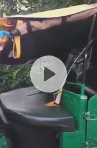 नवाबगंज: तेज़ रफ्तार ऑटो अनियंत्रित होकर पलटा, मुजीबपुर की 55 वर्षीय महिला की मौत, पुलिस को बिना सूचना दिए किया अंतिम संस्कार