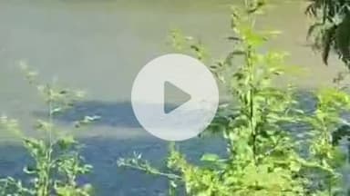 लंभुआ: तेरये गांव में बकरी चराने गए युवक की तालाब में डूबने से हुई मौत, सदमे में दादी की भी गई जान