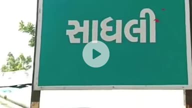 શિનોર: સિનોરના વીરપ્પનોને ખુલ્લુ મેદાન આડેધડ વૃક્ષોનું છેદન છતાં વહીવટી તંત્રના આંખ આડા કાન