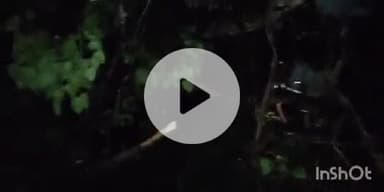 फतुहा: फतुहा रेलवे स्टेशन के पास तेज आंधी-पानी से गिरा पीपल का पेड़, एक कार क्षतिग्रस्त