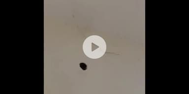 మచిలీపట్నం: గుడివాడలోని టిడ్కో కాలనీలో సీ 158 ఫ్లాట్లో  చోరి