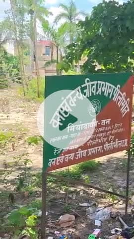 बीसलपुर: वन विभाग की बिना अनुमति के जल निगम ने टनकपुर हाईवे किनारे मियां बाकी वन में उखाड़े 369 पेड़, विभागीय केस दर्ज