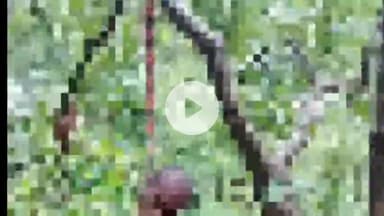 कोटा: बेलगहना चौकी के ग्राम मगरदांत में 72 वर्षीय बुजुर्ग ने फांसी लगाकर की आत्महत्या, बेलगहना पुलिस जांच में जुटी