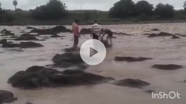 धरमपुरी: धानी में कारम नदी के पास मिली नाबालिग लड़की की लाश, इलाके में सनसनी, पुलिस जांच में जुटी