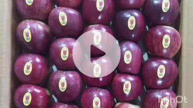 मोरंग: सेब पैकिंग पर 6 लेयर का लगा प्रतिबंध, APMC सचिव शिमला किन्नौर ने जारी की अधिसूचना