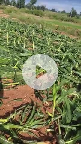 khedari ke log bahut madarchod hai fhasal barbad kar rahe hai