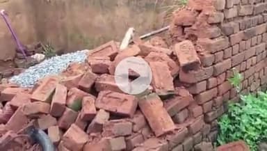 बगोदर: पोखरिया में जंगली हाथियों का उत्पात, कई घर क्षतिग्रस्त