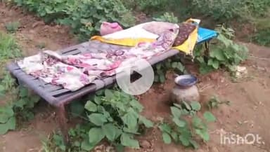 रोहट: रोहट के जैतपुर थाना क्षेत्र में शराब पार्टी के दौरान काका-भतीजे में हुई बहस, भतीजे ने धारदार हथियार से किया हमला