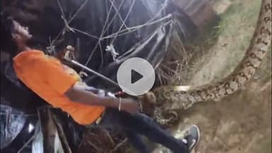 मिर्ज़ापुर: चील क्षेत्र के श्रीपट्टी गांव में घर में पहुंचा विशालकाय अजगर, वन विभाग की टीम ने किया रेस्क्यू, एक वनकर्मी घायल