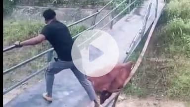 बाह: पिनाहट में प्रशासन किसी बड़े हादसे का कर रहा इंतज़ार, नहर पर क्षतिग्रस्त पुल बना खतरा