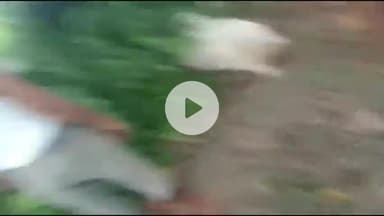 सतना के अहिरगांव में आकाशीय बिजली का कहर, दो दर्जन बकरियों की मौत, पुलिस जांच में जुटी