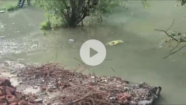 राजगढ़ी: स्यानाचट्टी में स्कूल, पुल, होटल व आवासीय भवनों में अस्थाई झील का पानी घुसा, लगातार बढ़ रहा जलस्तर