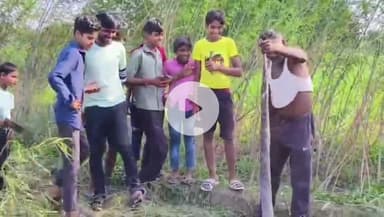 छिबरामऊ: छिबरामऊ तहसील क्षेत्र के भुइयान नगला गांव के खेतों में एक सात मीटर लंबा अजगर सांप निकलने से मचा हड़कंप