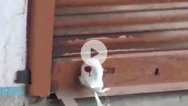 सिंगरौली: बिना डिग्री अस्पताल चला रहा था मेडिकल स्टोर संचालक, प्रशासन ने अस्पताल किया सील