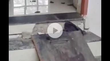 हुज़ूर: भोपाल के गांधी नगर थाना क्षेत्र में पशु क्रूरता का मामला सामने आया