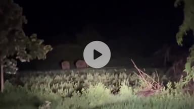 हज़ारीबाग: मडमो पंचायत क्षेत्र के गांवों में जंगली हाथियों का उत्पात, घरों की दीवारों को पहुंचाया नुकसान