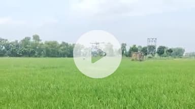 रहुई: भदवाँ में धान की फसल पर ड्रोन से कीटनाशक का छिड़काव किया गया