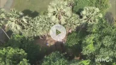 नगर नौसा: मद्यनिषेध विभाग की टीम ने मोहद्दीपुर व दरियापुर गांव में ड्रोन से शराब ठिकानों पर की छापेमारी