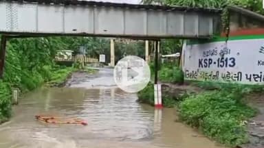 શિનોર: સિનોર રેલવે ગરનાળા નીચે પાણી ભરાતા વાહન ચાલકો પરેશાન,  મેઘરાજાની ધમાકેદાર બીજી ઇનિંગ શરૂ