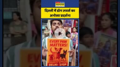 Delhi में Dog Lovers का अनोखा प्रदर्शन, ऐसे कही अपनी बात! | #shorts #doglovers #supremecourt