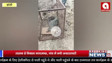 तालाब से निकला मगरमच्छ, गांव में मची अफरातफरी