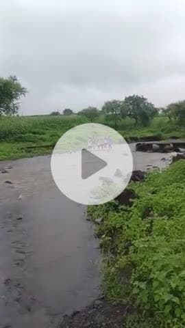 हमारे गांव में सरपंच पुलिया नहीं बना रहा है देखो भाइयों गांव करमदिया