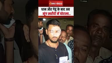 धान और गेहूं के बाद अब मूंग खरीदी में घोटाला | Moong Kharidi Ghotala