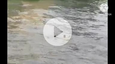 हुज़ूर: भोपाल: वीआईपी रोड स्थित तालाब से पुलिस ने एक अज्ञात युवक का शव बरामद किया