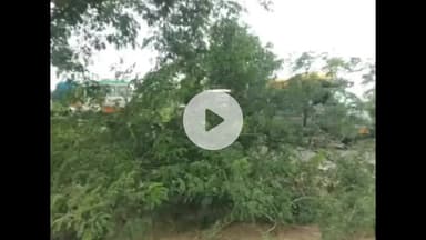 नवाबगंज: भानमऊ गंगागंज रोड पर चलते बाइक सवारों पर गिरा पेड़, दो घायल, इलाके में मची अफरा-तफरी