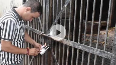 करनाल: सदर बाजार क्षेत्र में 5 अवैध डेयरियों पर नगर निगम की कार्रवाई, 1 डेयरी सील: नगर निगम आयुक्त वैशाली शर्मा